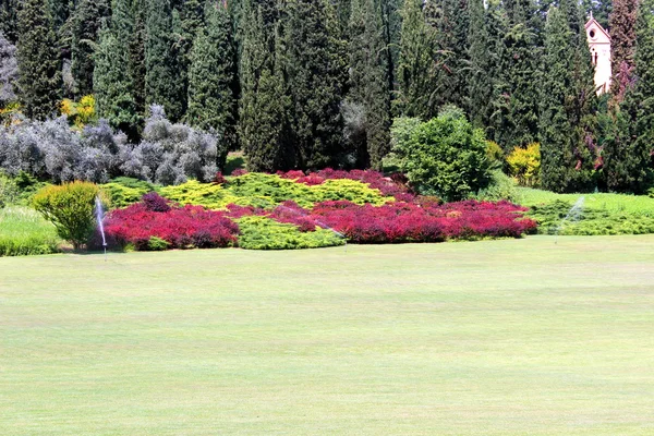 Golf field — Stock Photo, Image