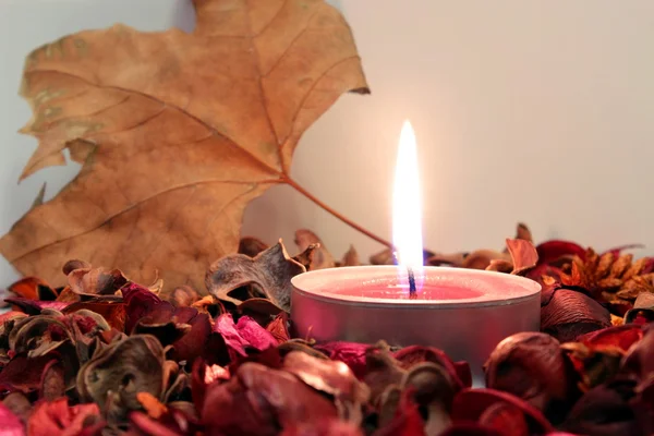 Red candle — Stock Photo, Image