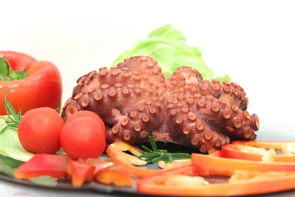 Octopus — Stockfoto