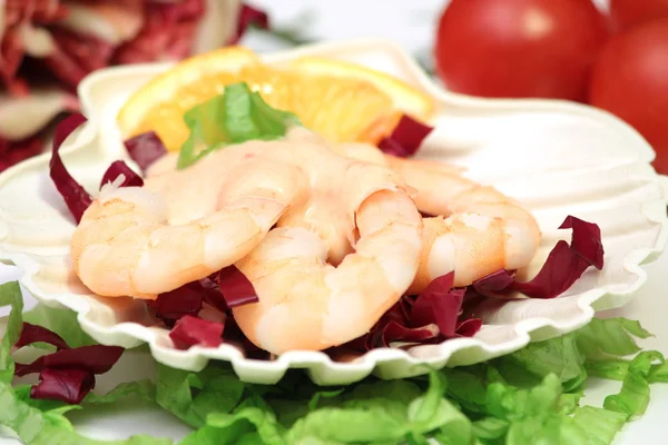 Shrimp — Stock Photo, Image