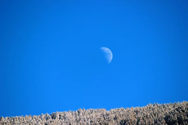 Luna. — Foto de Stock