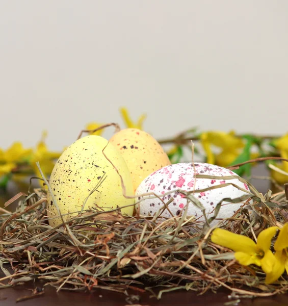 Fargede egg – stockfoto