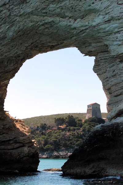 Landschap in puglia — Stockfoto