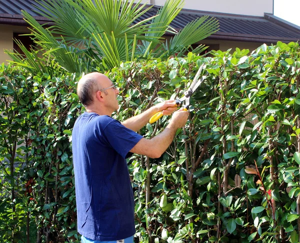 Giardinaggio — Foto Stock