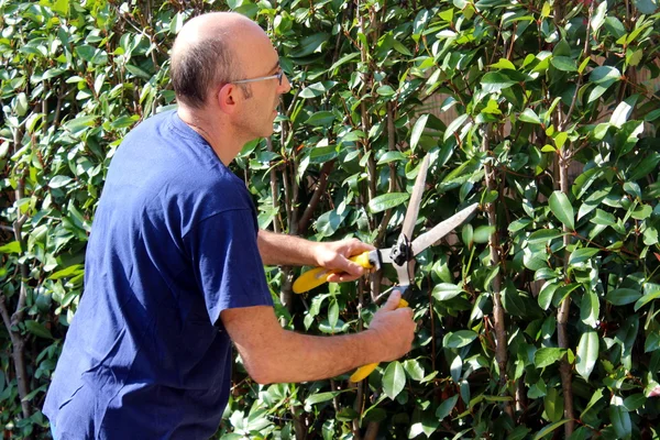 Gartenarbeit — Stockfoto