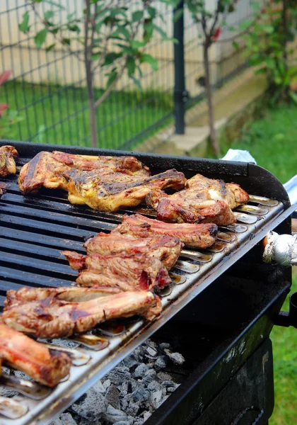 Barbecueën — Stockfoto