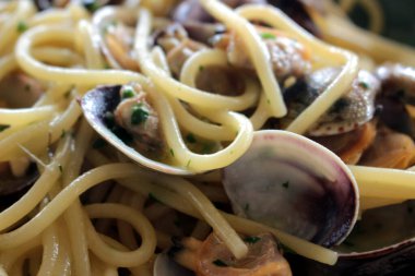 close-up of a pasta dish