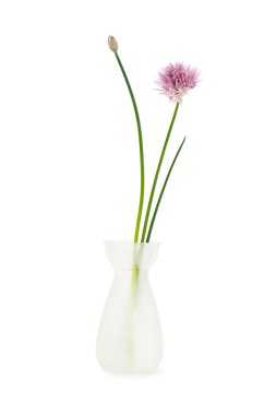 Vazoda çiçek bıçak