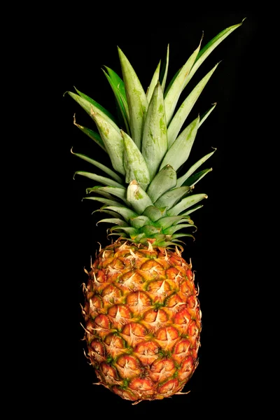 Pineapple on black — Stock Photo, Image