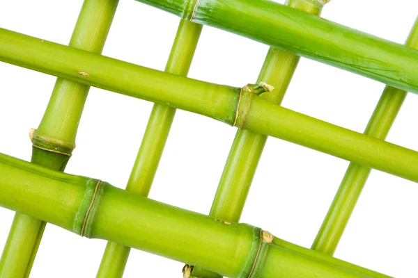 Diseño de bambú —  Fotos de Stock