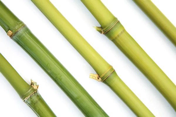 Bambus ukośne — Zdjęcie stockowe