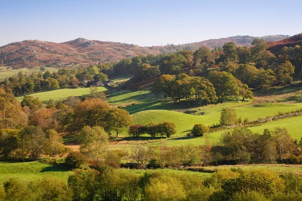 Campos rurais ingleses — Fotografia de Stock