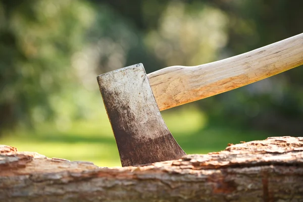 Axe in wood — Stock Photo, Image