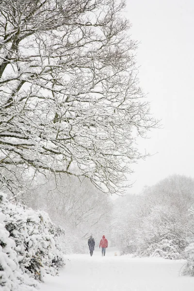 Wandelen in de winter — Stockfoto