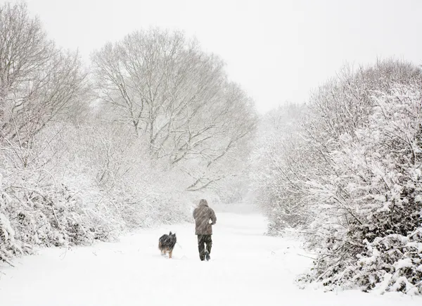 Homem e cão na neve — Fotografia de Stock