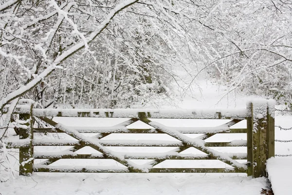 Puerta de madera en la nieve — Foto de Stock