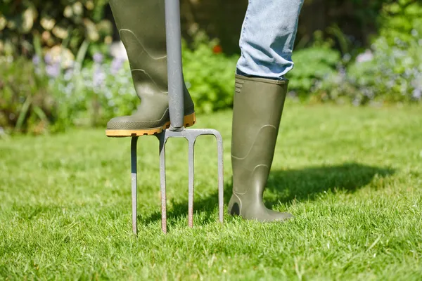 Digging fork — Stock Photo, Image