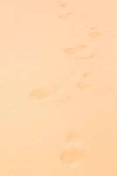 在沙中的足迹 — 图库照片