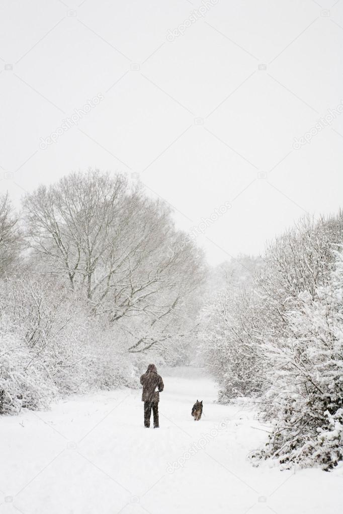 Man and dog in snow with copy space