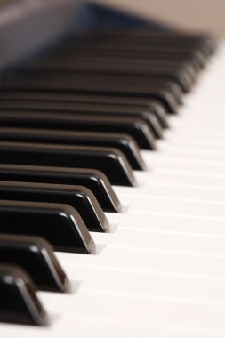 müzik aleti