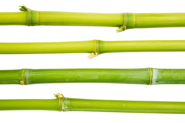 Palos de bambú —  Fotos de Stock