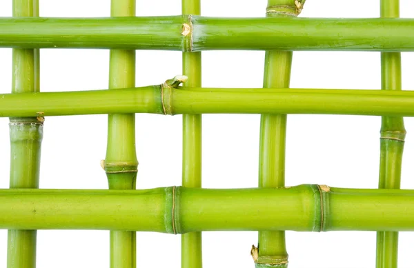 Patrón de bambú —  Fotos de Stock