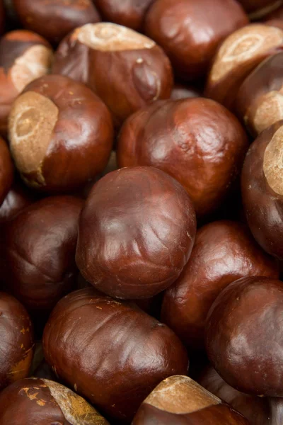 Conkers — Stock Photo, Image