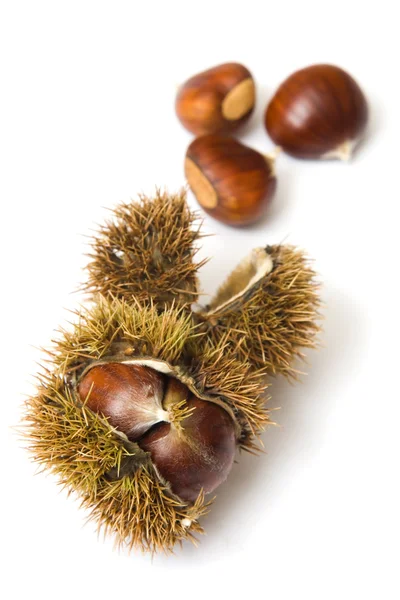 Chestnuts — Stock Photo, Image