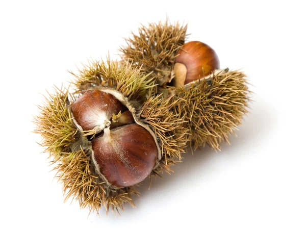 Chestnuts — Stock Photo, Image