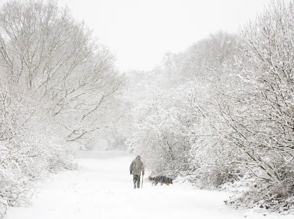 Человек и собака в снегу — стоковое фото