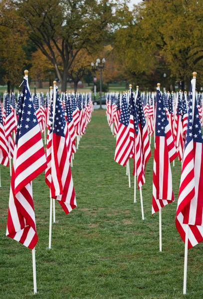 Banderas de Estados Unidos en un parque — Foto de Stock
