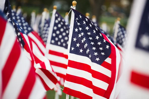 American flags — Stock Photo, Image