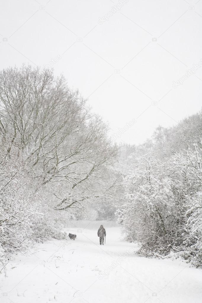 Man and dog in snow with copy space