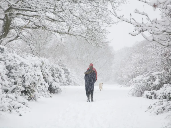 Wandelen in de winter — Stockfoto