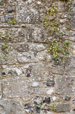 Eski taş duvar
