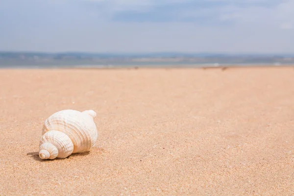 Escena de playa con espacio para texto — Foto de Stock