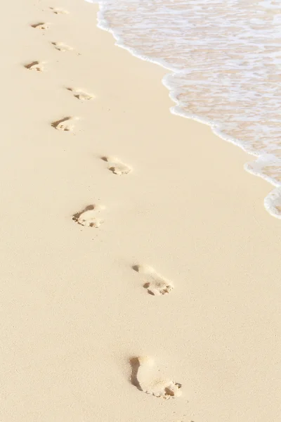 Footprints on beach — Stock Photo, Image