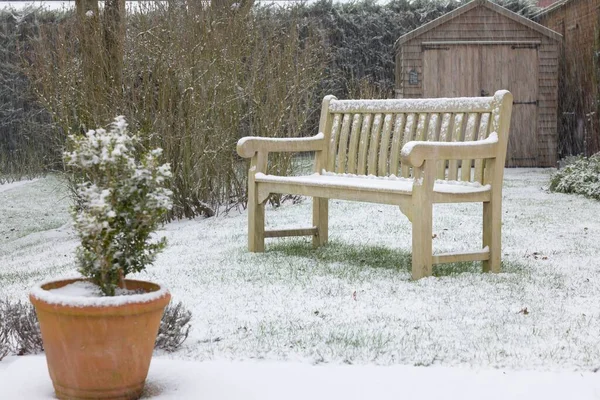 Cour Arrière Arrière Cour Couverte Neige Hiver Avec Banc Bois — Photo