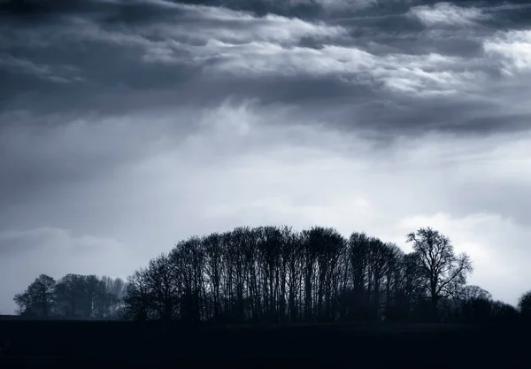 Dramatik Bir Gökyüzüne Karşı Siluetteki Ağaçlar Buckinghamshire Kırsalında Tek Renkli — Stok fotoğraf