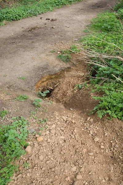 英国白金汉郡 獾在人行道边的洞穴或孔洞中造成的破坏 土壤侵蚀 — 图库照片