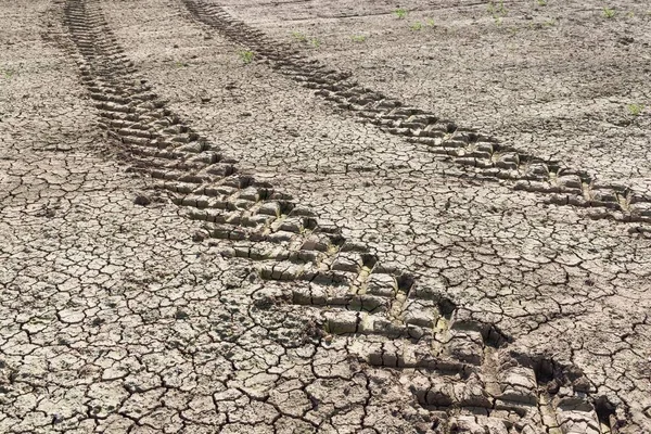 Traktorspuren Durch Ein Trockenes Karges Feld Während Der Dürre Auf — Stockfoto