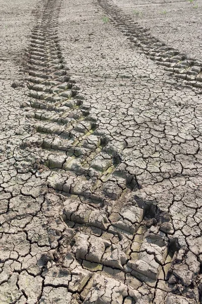 Trator Rastreia Através Terra Seca Rachada Campo Seco Uma Fazenda — Fotografia de Stock