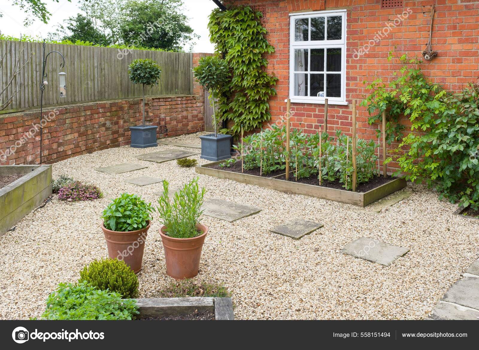 Jardín Trasero Reino Unido Diseño Jardín Paisajístico Con Grava Piedras —  Foto de stock #558151494 © paulmaguire, image size:1600x1167