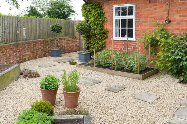 Back Garden Gartengestaltung Mit Kies York Stein Trittsteinen Und Eiche — Stockfoto