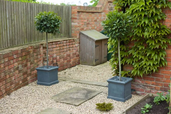 走廊或狭窄花园入口的容器中的标准月桂树 英国园林设计 — 图库照片