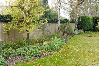 Bahçe çiçek tarhı (çiçek tarhı) ve sonbaharda İngiltere 'de tipik bir İngiliz bahçesinde çimen