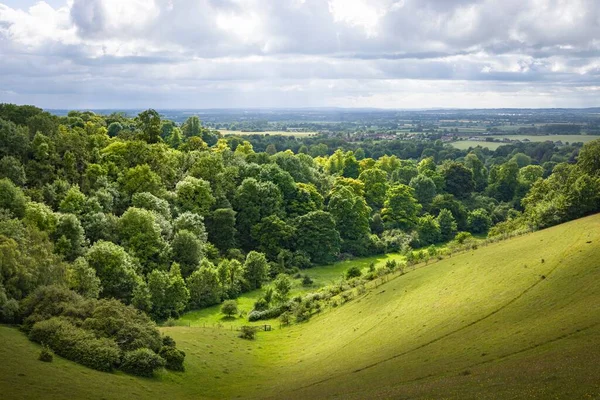 Countryside Landscape Green Rolling Hills Trees Meadow View Chiltern Hills — Stock Fotó
