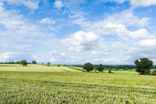 English Countryside Landscape Green Wheat Field Blue Sky Clouds — Foto de Stock