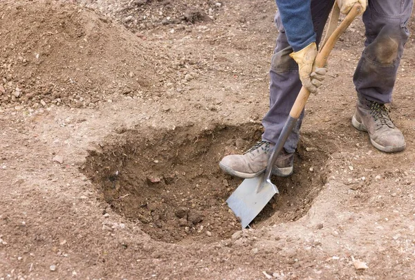 Jardinero Cavando Agujero Suelo Con Una Pala Preparándose Para Plantar — Foto de Stock