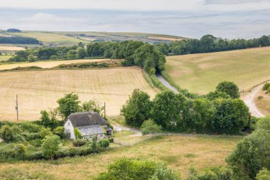 Dorset arazisindeki eski sazdan kulübenin havadan görünüşü